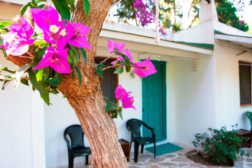 Myndos Bed & Breakfast Бодрум Экстерьер фото