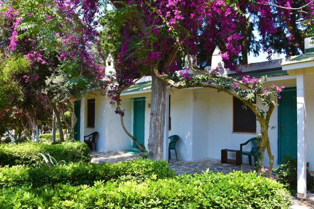 Myndos Bed & Breakfast Бодрум Экстерьер фото